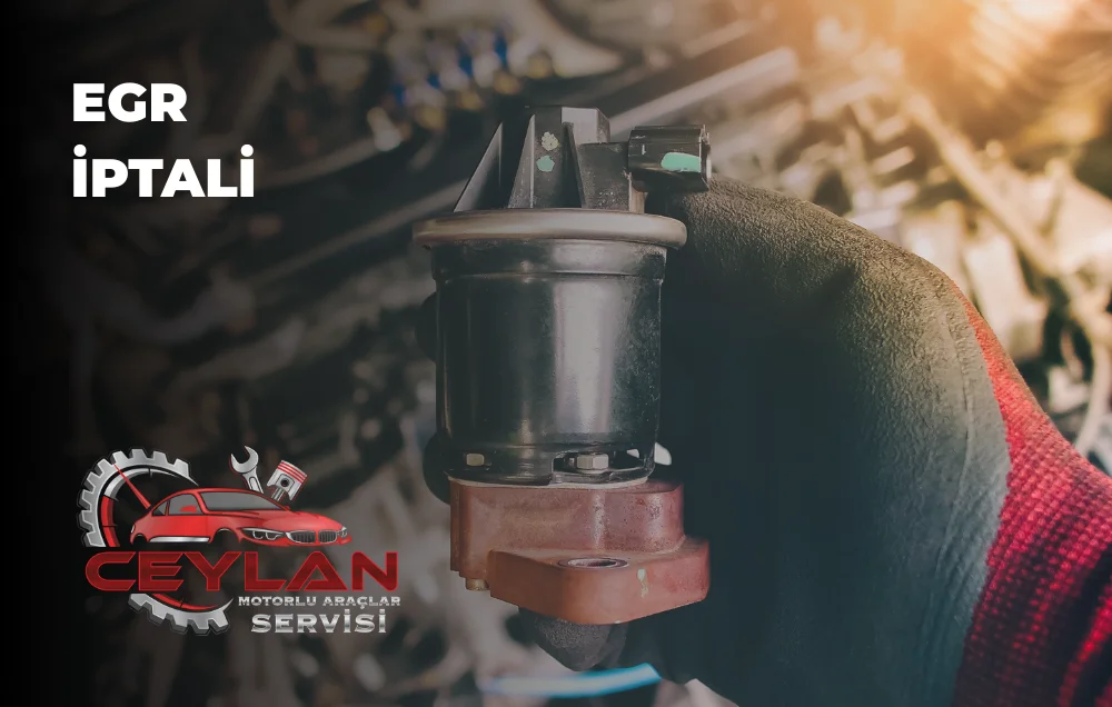Egr İptali